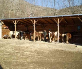  Excursiones a caballo 